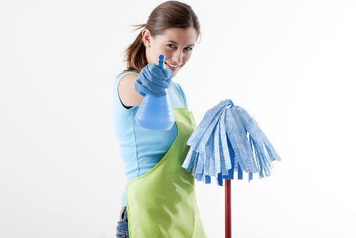 Professional cleaning company service in Collierswood home interior