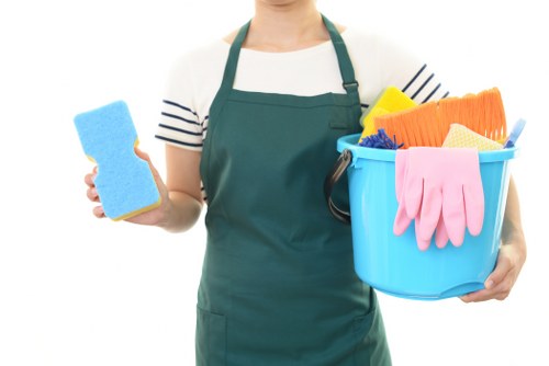 Accessible Collierswood Cleaners website illustration