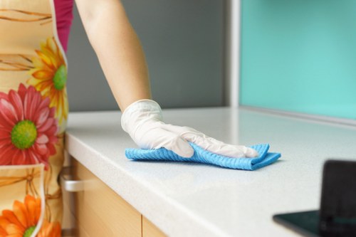 Deep cleaning in Collierswood kitchen and living space