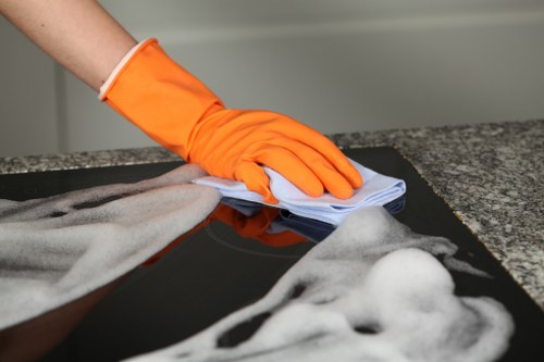 Professional cleaner in Collierswood working in a tidy living room
