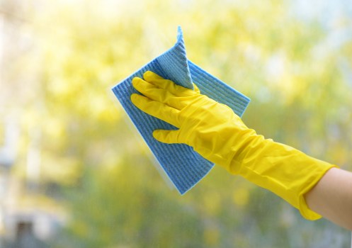 Professional oven cleaning service in Collierswood kitchen