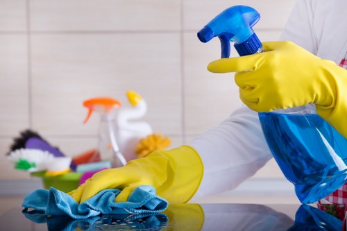 Cleaner sorting recyclable materials into labelled waste streams