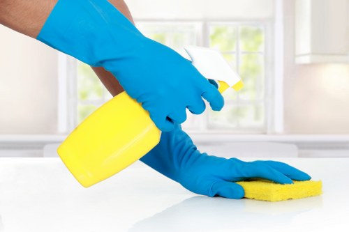 Professional hard floor cleaning in a Collierswood home