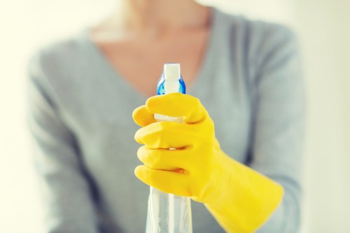 Screen-reader compatible cleaning services page concept