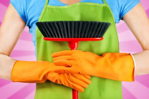 Stain removal treatment by a carpets cleaner in Collierswood