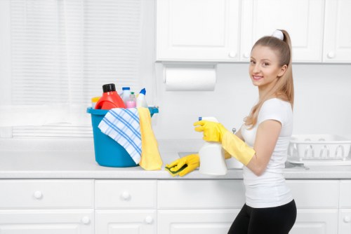 Domestic cleaner in Collierswood preparing a family home