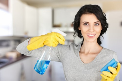 Professional deep cleaning in Collierswood for hygienic rooms