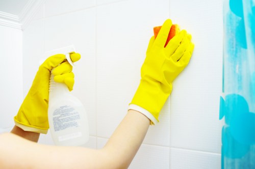 Stain and odour removal for rugs in Collierswood homes