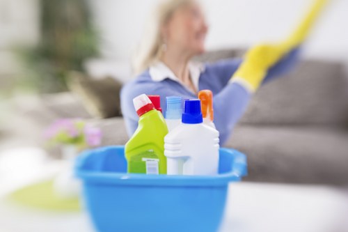 Professional cleaners in Collierswood preparing a property for service