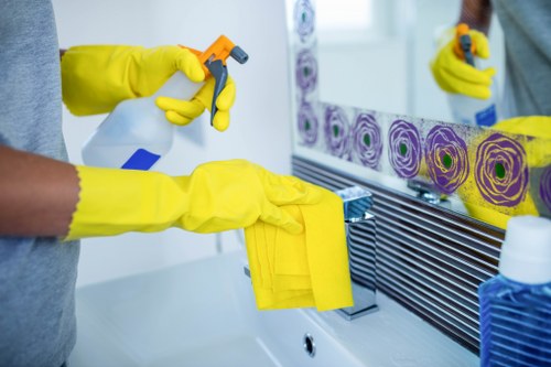 Regular home cleaning tasks in Collierswood
