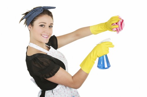 Professional cleaner maintaining a fresh and orderly interior space