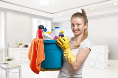 Collierswood cleaning team providing domestic and commercial services