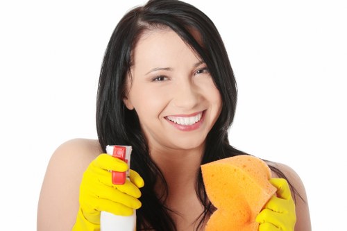 Deep cleaning a modern sofa in Collierswood home